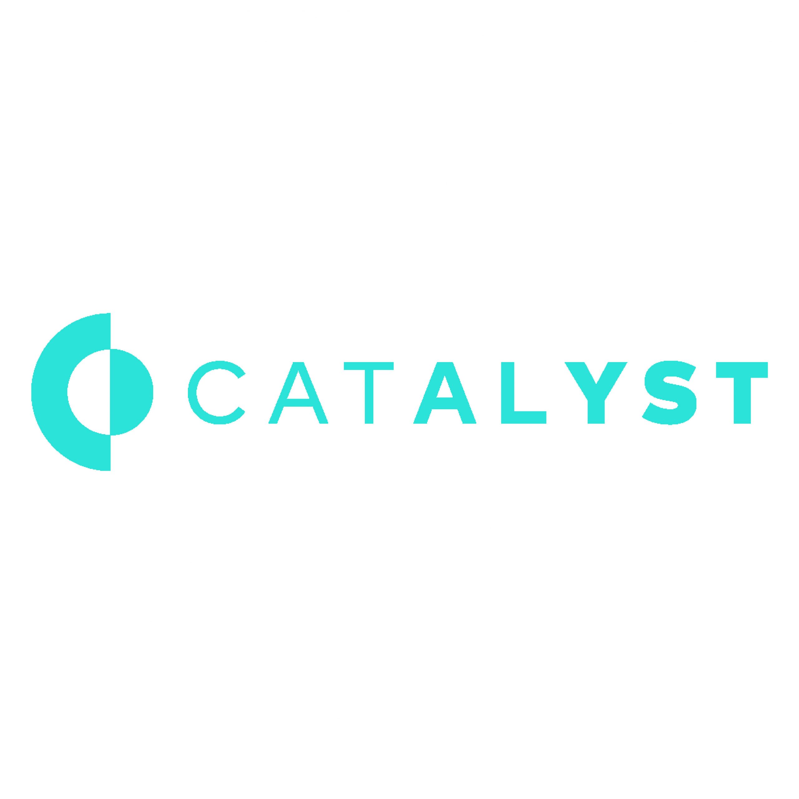St Pete Catalyst